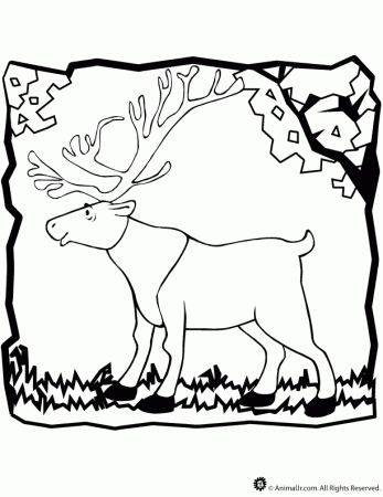 Caribou Coloring Page | Woo! Jr. Kids Activities