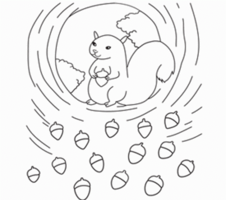 Preschool Squirrel Coloring Pages With | Animal Coloring pages of ...