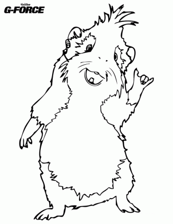 Guinea pig coloring pages to download and print for free