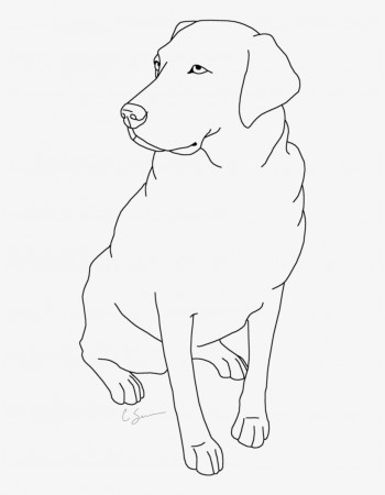 Sampler Black Lab Coloring Pages Labrador Retriever - Simple Drawings Of  Labradors PNG Image | Transparent PNG Free Download on SeekPNG