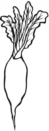Coloring pages: Radish, printable for kids & adults, free to download