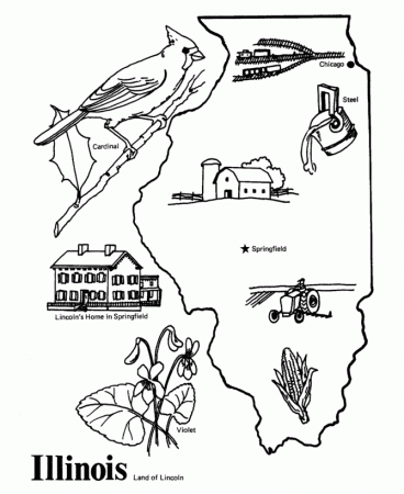 Road Trip! Illinois State outline Coloring Page (With images ...