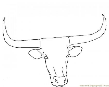 Longhorn Cow Coloring Page