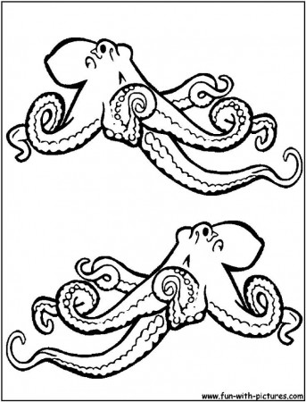 Octopus coloring page | cephalopods and inverts