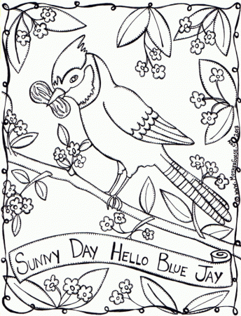 Animal Blue Jay Birds Coloring Pages ANIMAL 209777 Blue Bird 