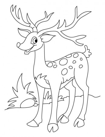 Deer Coloring Pages 528 | Free Printable Coloring Pages