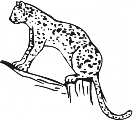 Cheetah Printable Coloring Pages | Coloring