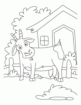 Initial tamed, the Goat great coloring pages | Download Free 