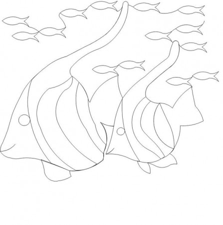 Tropical Fish $.0175 | Long Arm Quilt Patterns