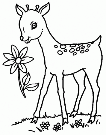 Fawn Coloring Pages