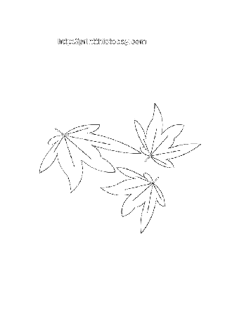 Free printable thanksgiving coloring Pages | Print This Today