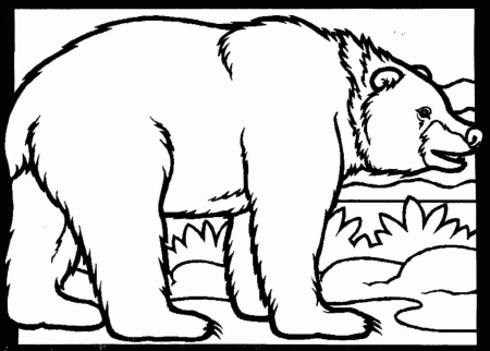 Black Bear Coloring Pages Hd | Coloring Pages - Coloring Pages