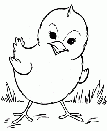 attractive chickens coloring pages for preschoolers - Coloring Point