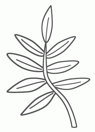 branch leaves Colouring Pages