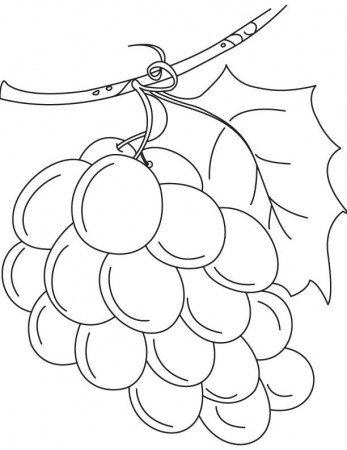 Wine Coloring Sheet