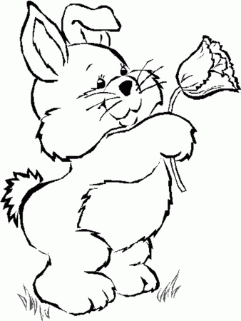 Flowers Coloring Pages For Kids To Print | COLORING WS