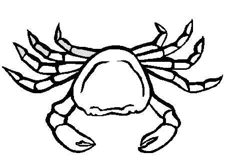 Hermit Crab Coloring Page - Free Coloring Pages For KidsFree 