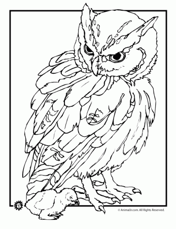 Coloring Pages Animals Realistic | Free coloring pages for kids