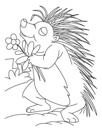Flower loving porcupine coloring pages | Download Free Flower 
