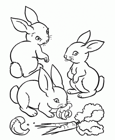 Animals Coloring Pages Printable - Free Printable Coloring Pages 