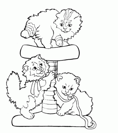 Cat Coloring Pages To Print For Kids: Cat Coloring Pages To Print 