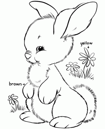 Coloring Pages Of Bunnies 8 | Free Printable Coloring Pages