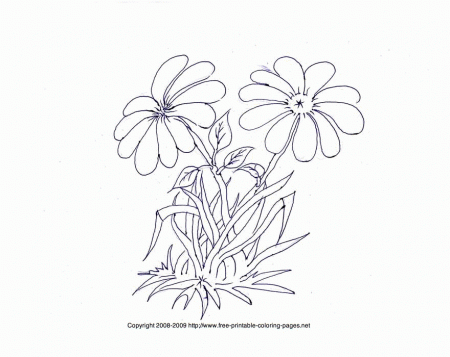 Free Printable Flower Coloring Pages For Adults