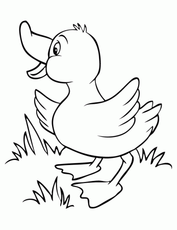 Free Printable Duck Coloring Pages | HM Coloring Pages