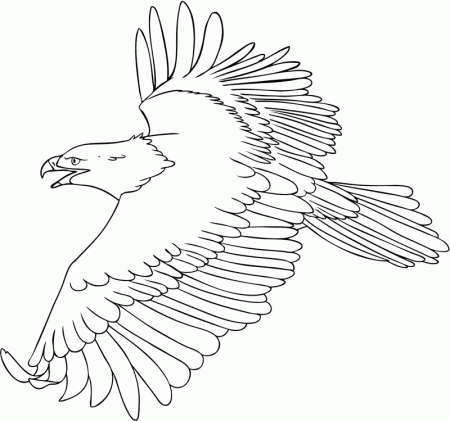 Eagle Coloring Pages | Animal Coloring pages | Printable Coloring 