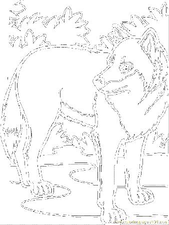 Coloring Pages Wolf 01 (Mammals > Wolf) - free printable coloring 