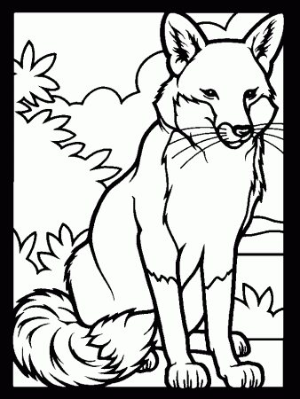 Fox coloring page - Animals Town - Animal color sheets Fox picture