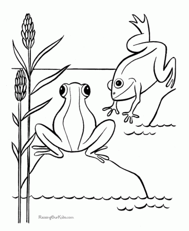 Free printable frog coloring pages 007
